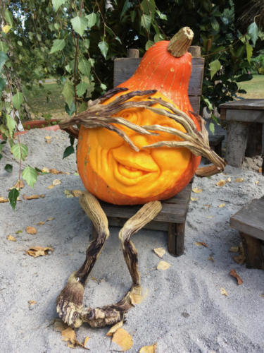 Pumpkin2018 - 11